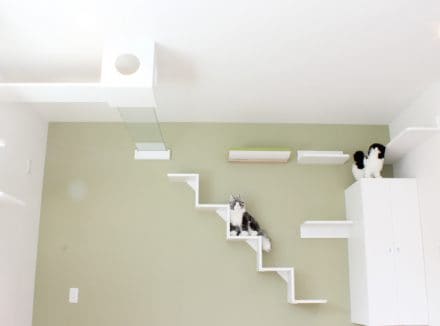 ◆速報◆さらば賃貸、新築にゃん戸建の登場だ！完全猫仕様との噂